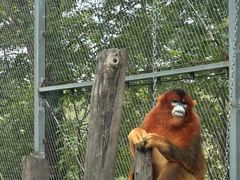 -哈尔滨北方森林动物园