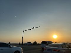 -合肥滨湖国家森林公园