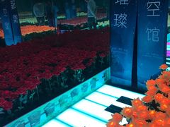 -昆明璀璨星空馆