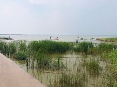 -卧龙湖