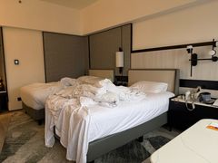 -新加坡乌节希尔顿酒店 (SG Clean)