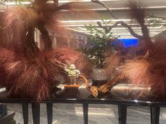 -南海渔村(珠江新城店)