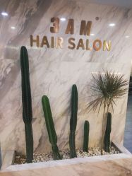 -3AM HAIR SALON烫发染发接发