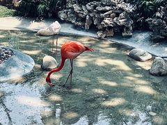 -三亚蜈支洲岛旅游区