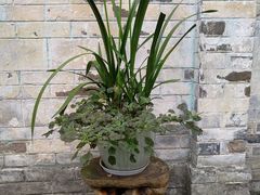 -金谷域澳洲庄园