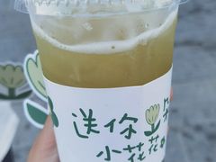 -夏叶茶(大光明店)