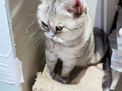 -小时光咖啡馆(开森度假森林店)