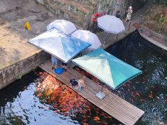 -千岛湖东南湖区