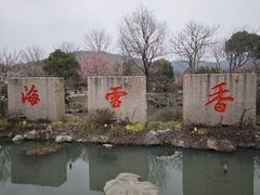 -香雪海