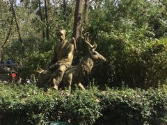 -溱湖国家湿地公园