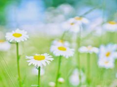 -龙美术馆西岸馆-停车场