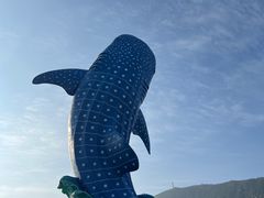 -珠海长隆海洋王国
