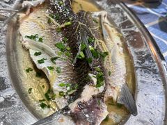 -石岐乳鸽村(南海第三分店)