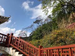 -广州市石门国家森林公园