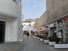 -217笋干馄饨