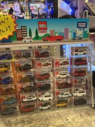 -卡通尼·Safari非洲探索乐园·生日会(金桥国际商业广场店)