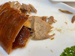 -九花山烤鸭店