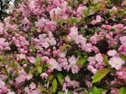 -华东饭店·园林式婚礼宴会厅酒店