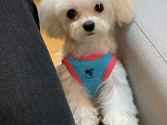 -e嘉宠物店(北大街店)