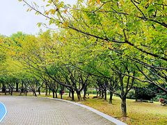 -苏州河梦清园环保主题公园