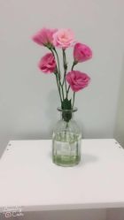 -苑苑vbeauty科技美容SPA