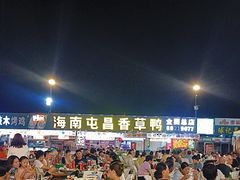 -盐禾堂海南屯昌香草鸭(海润路总店)