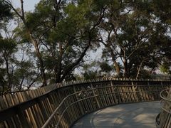 -福道