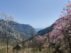 -九皇山景区