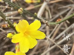 -北京西山国家森林公园