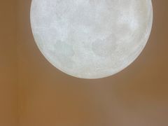 -伊斯坦布尔土耳其清真咖啡餐厅