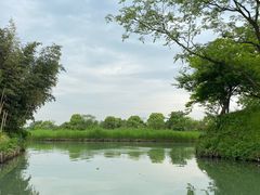 -西溪国家湿地公园