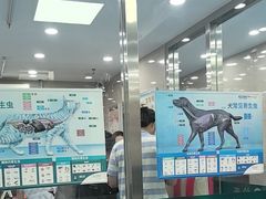 -万博宠物医院·手术·诊疗(未央凤城五路店)