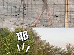 -新塘水果乐园(东洲大道店)