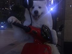 -杭州浪浪浪水公园