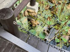 -兰亭风景区