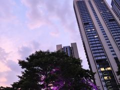 -鱼珠码头(轮渡站)