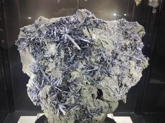-中国地质大学逸夫博物馆
