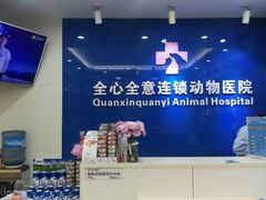 -全心全意连锁动物医院·微创中心·内科急重症·心脏专科(丰管路店)