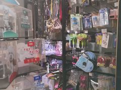 -康乐迪宠物店·洗护·美容·寄养(回龙观店)