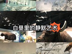 -中国湿地博物馆