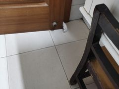 -翊宠yipet猫狗购宠庄园犬舍•猫舍