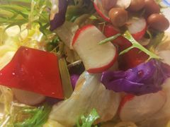 巧嫂大拌菜-雲蜀龙阁·金牌水煮鱼(方庄店)