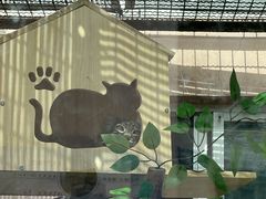 -青藏高原野生动物园