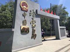 -珍宝岛