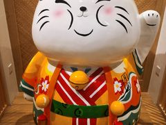 -屋虎猫馆(宝安大仟里店)