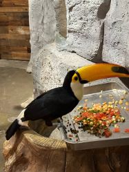 -Zoolung Zoolung动物主题公园(海信广场店)