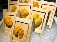 朝鲜海胆-樂涧·蓝鰭金枪鱼料理(生态园店)