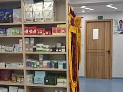 -博特宠物医院24h犬猫全科.骨科·异宠