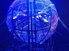 -广州长隆国际大马戏