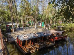 -合肥滨湖国家森林公园